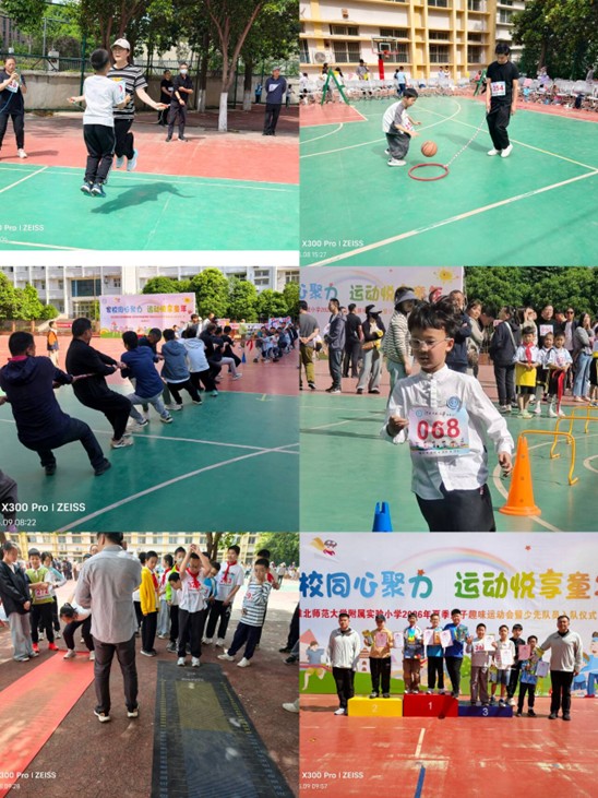 b378d494cf2e498aace9f92acec3007b.jpg